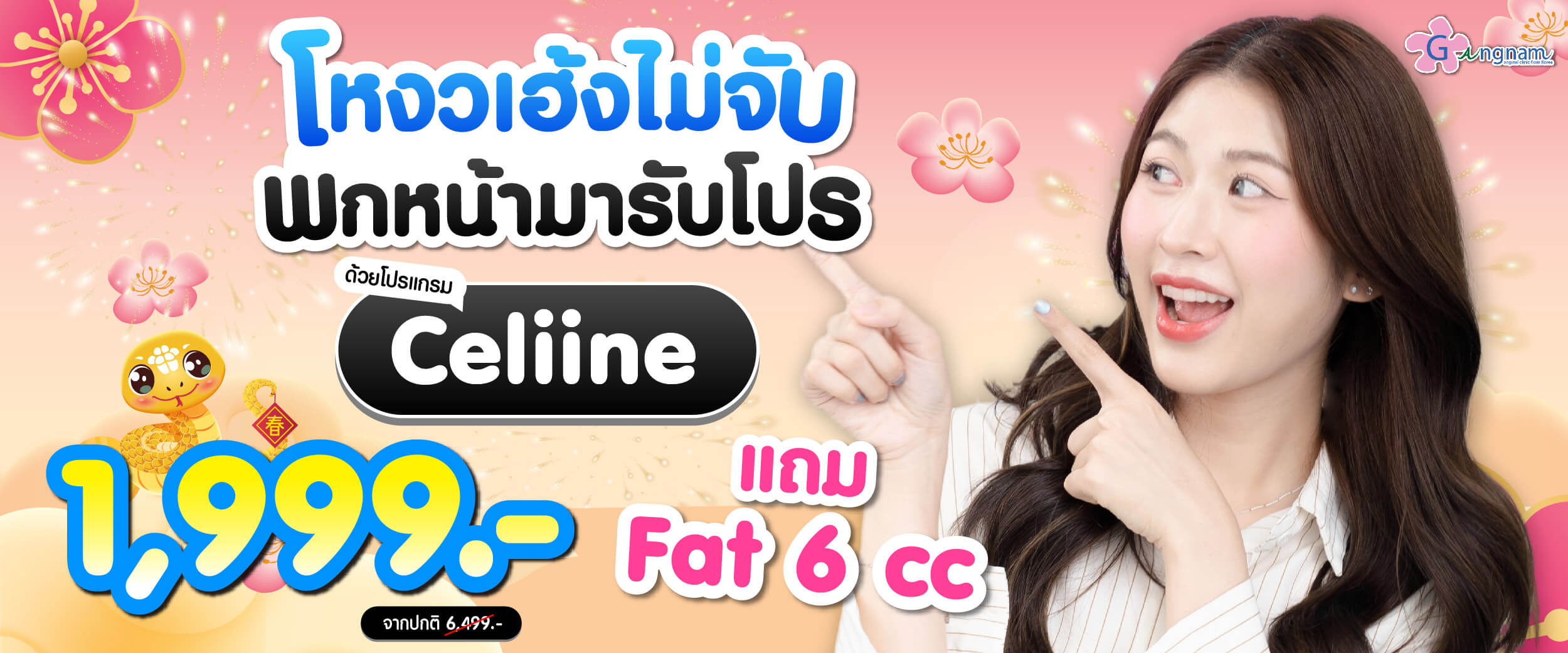 โปรโมชั่น Celiine