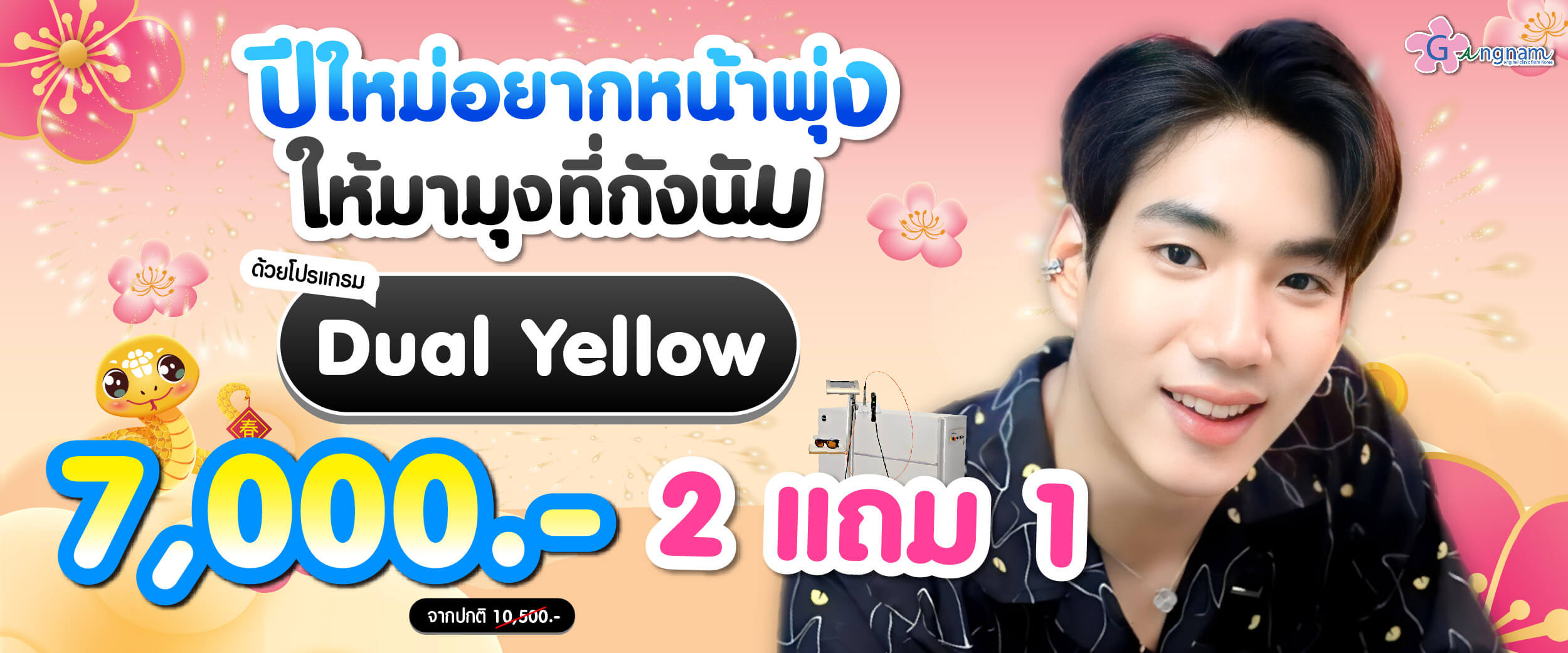 โปรโมชั่น Dual yellow